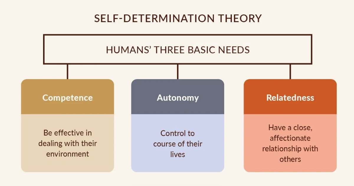 Self Determination Theory